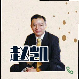 赵凯